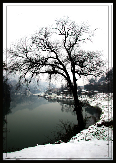 雪景 摄影 明泉