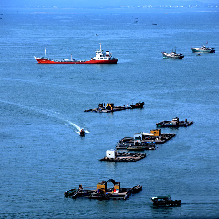 繁忙的海湾 摄影 yehuan