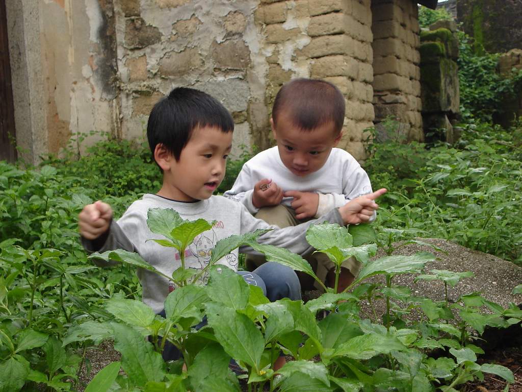 小狗仔们 摄影 茂茂