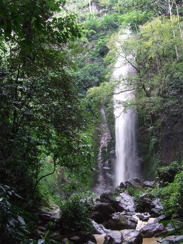 瑞丽·莫里雨林掠影·飞瀑叠翠3 摄影 清水海