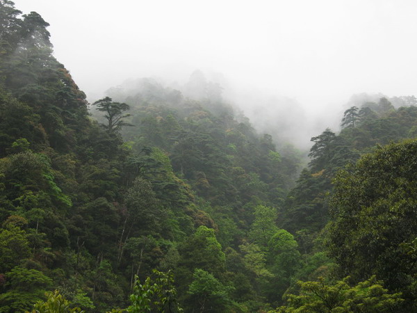 小黄山 摄影 一秋