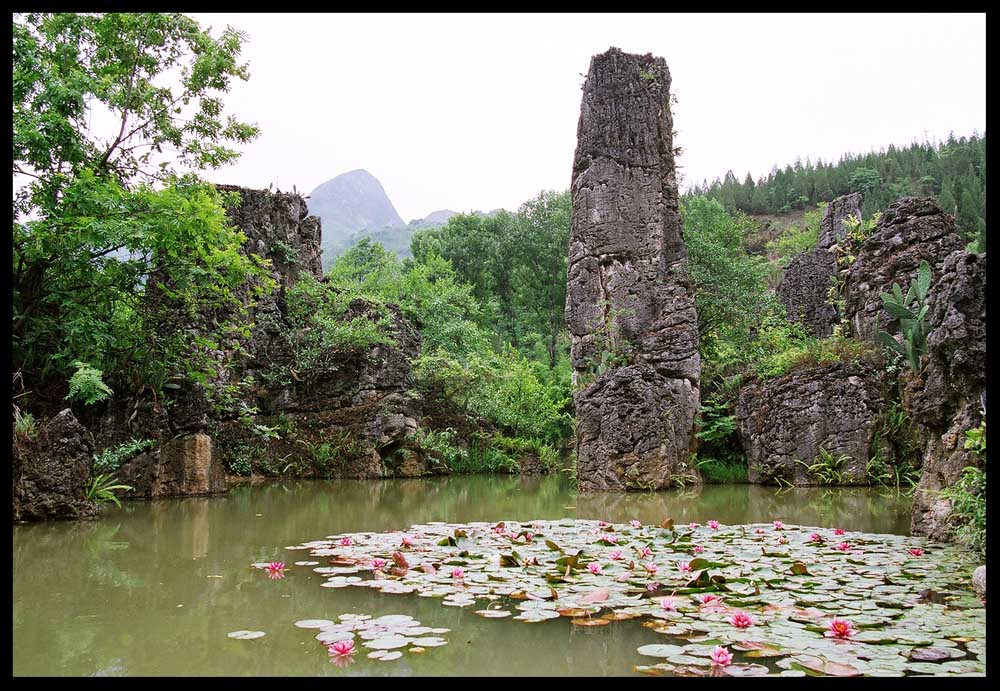 擎天一柱 摄影 游山水