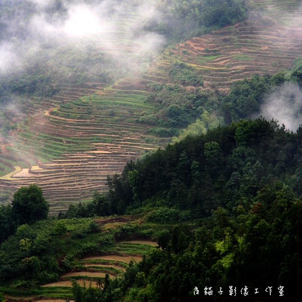 仙岩梯田 摄影 雨后_斜阳