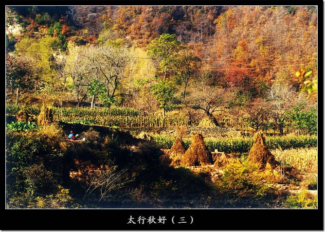 太行秋好 摄影 三田木