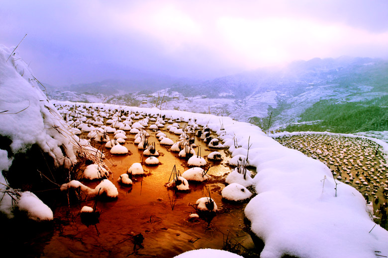 金坑.雪 摄影 阳朔老罗