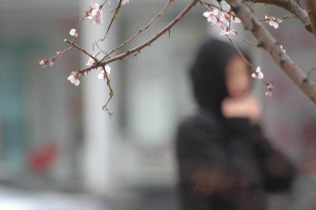 寒流来临 摄影 兄弟连