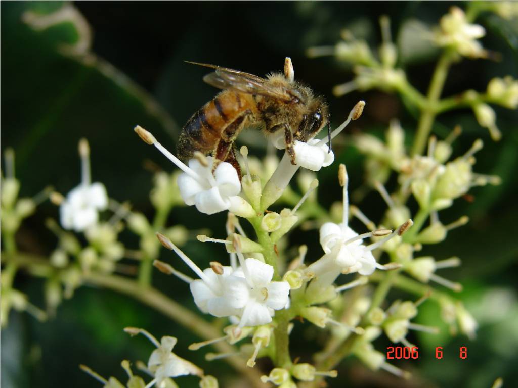 nature-002 摄影 fengsheng