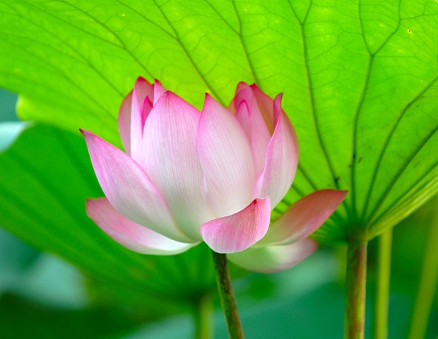 遮风挡雨 摄影 君主