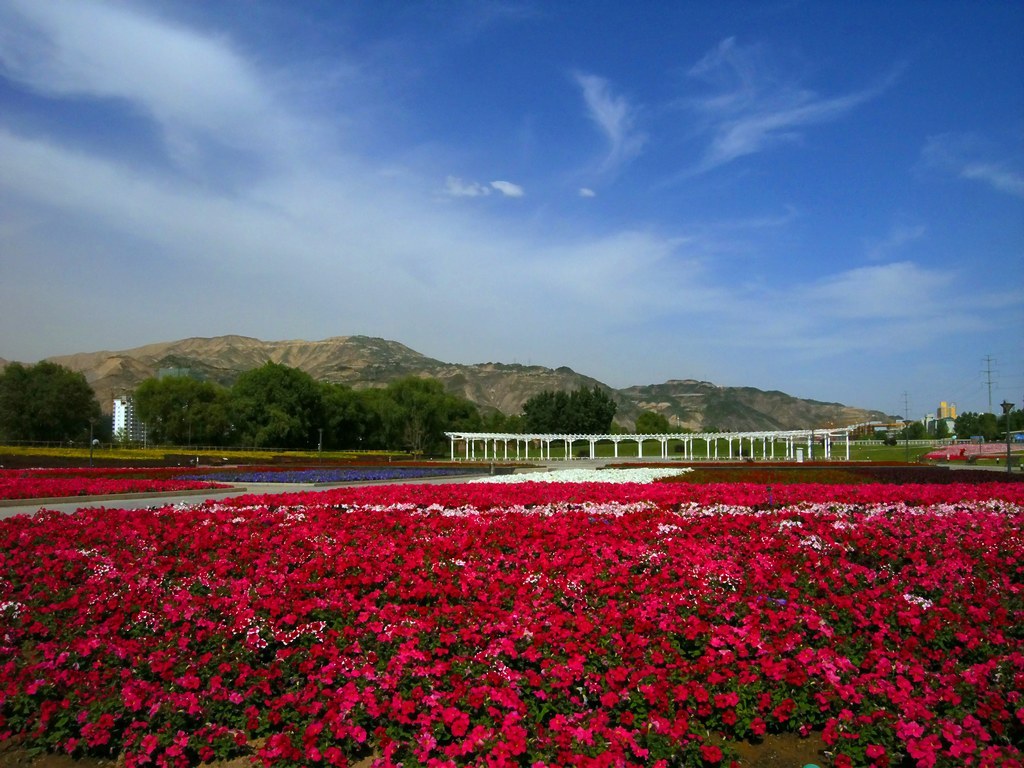 都市花园 摄影 引擎