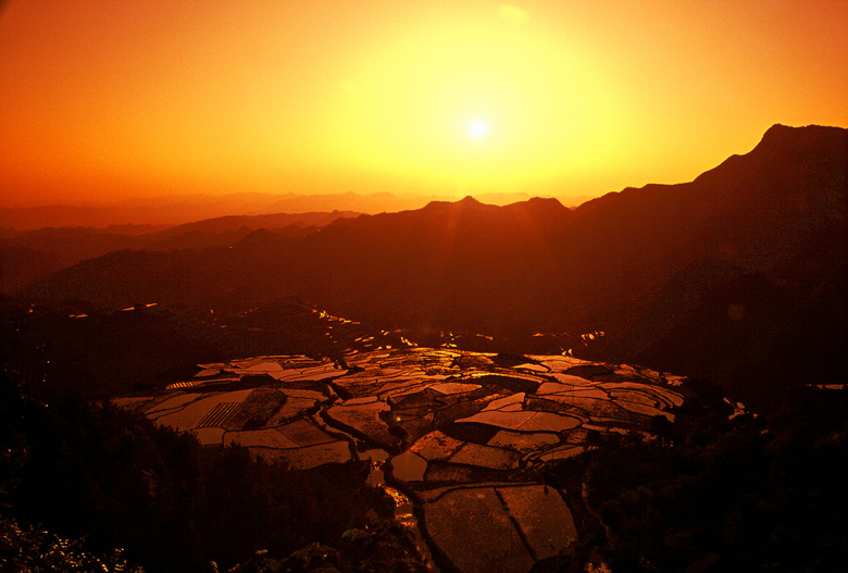 夕照梯田 摄影 老枪新射