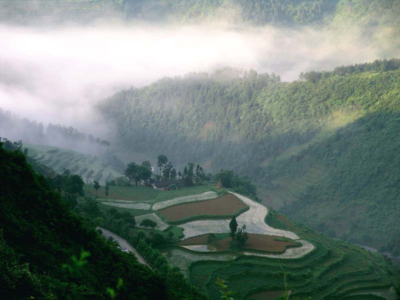 山乡美景 摄影 绽放