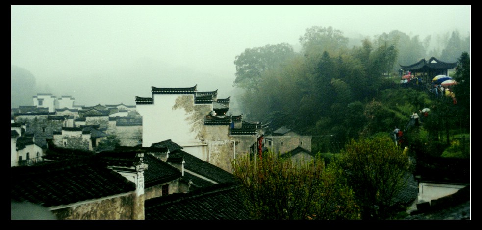 雨中游 摄影 水儿06