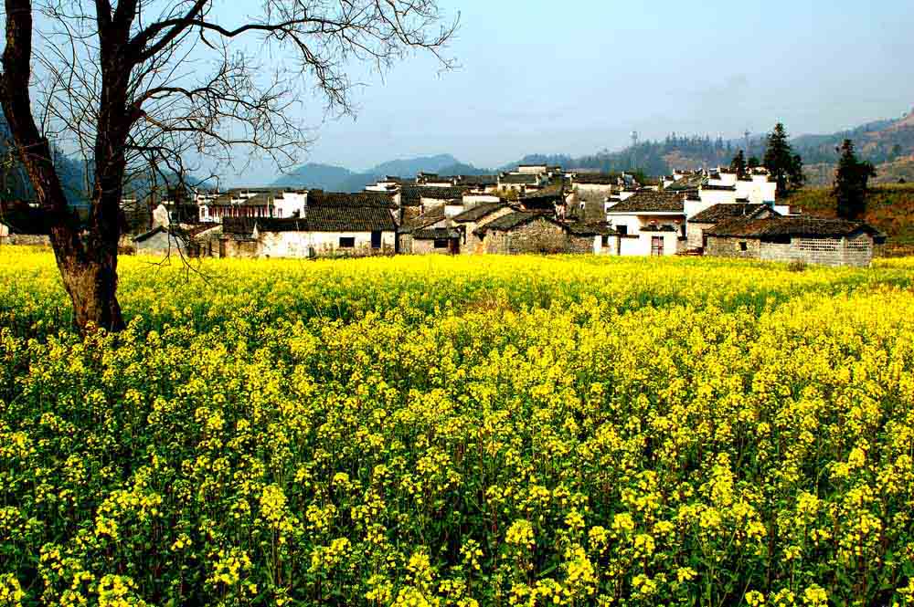 山乡（五） 摄影 晓峦