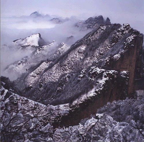 雪落琴台 摄影 大山深处