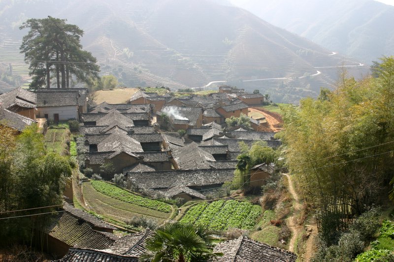 山村 摄影 三色叶