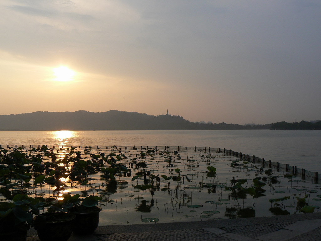 夕阳 摄影 卫生龙