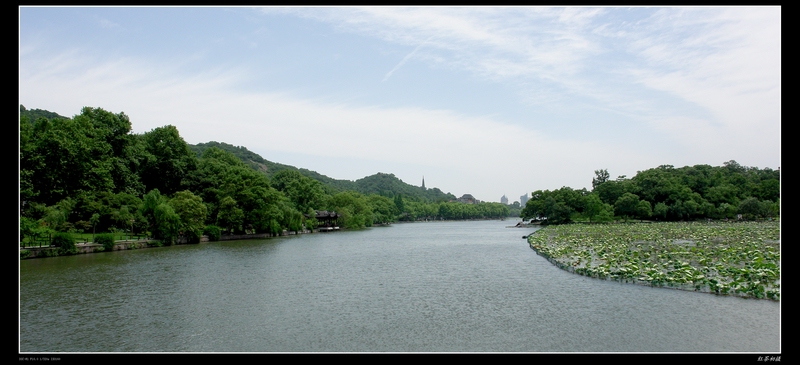 西湖美景 摄影 红的茶