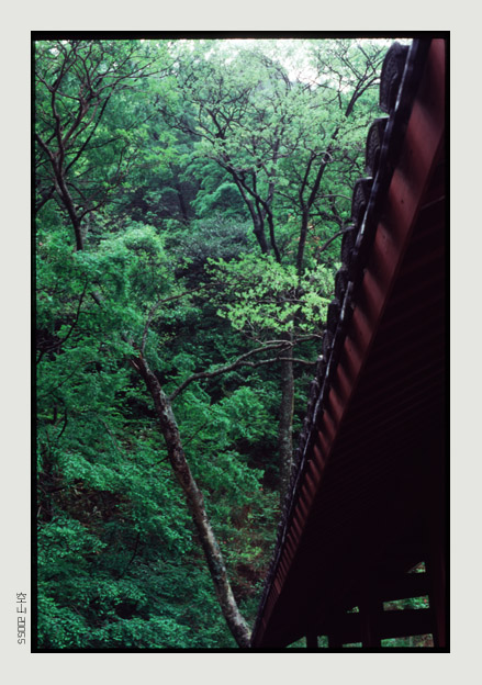 禅林 摄影 空山