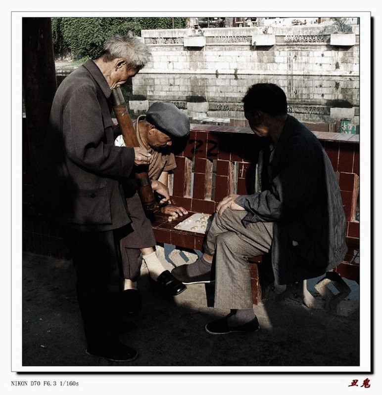 观棋者 摄影 丑鬼