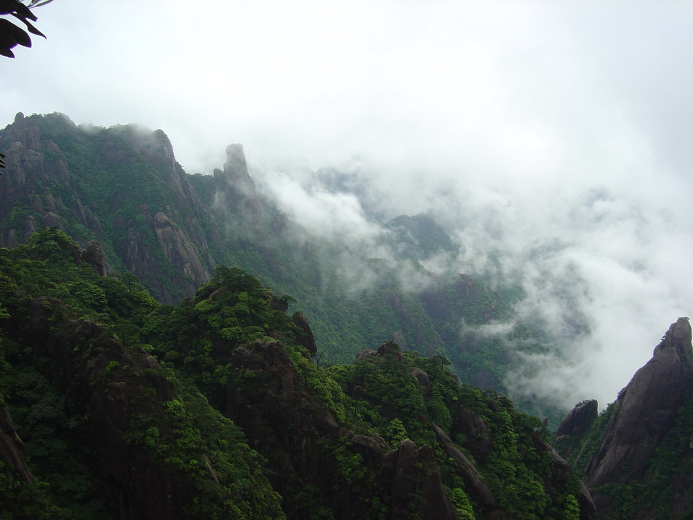 qun shan 摄影 香飘故人来