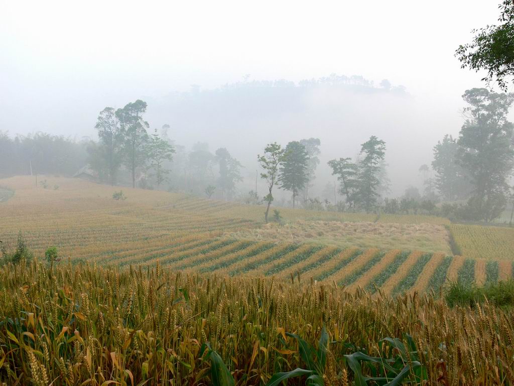 夢里山村 摄影 tonny_jiang