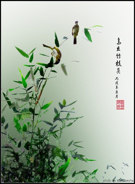 鸟立竹枝头 摄影 卷云舒
