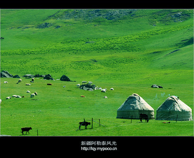 阿勒泰 风光 摄影 李木木