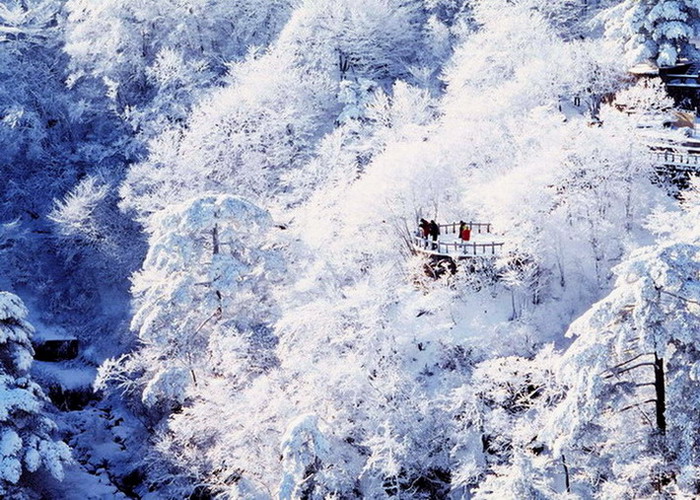  黄山冬韵 之<黟山玉颜> 摄影 老槐树