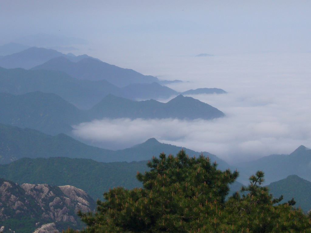 黄山 摄影 魅力瞬间