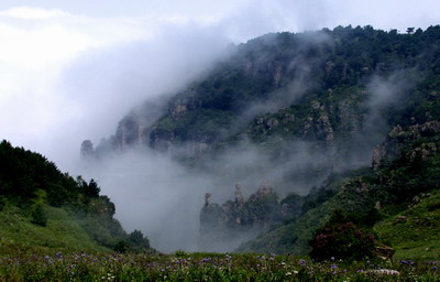 山间仙气 摄影 大山深处