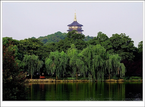 西湖风光之雷峰塔 摄影 天堂寨