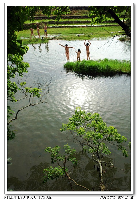 清凉夏日 摄影 小网