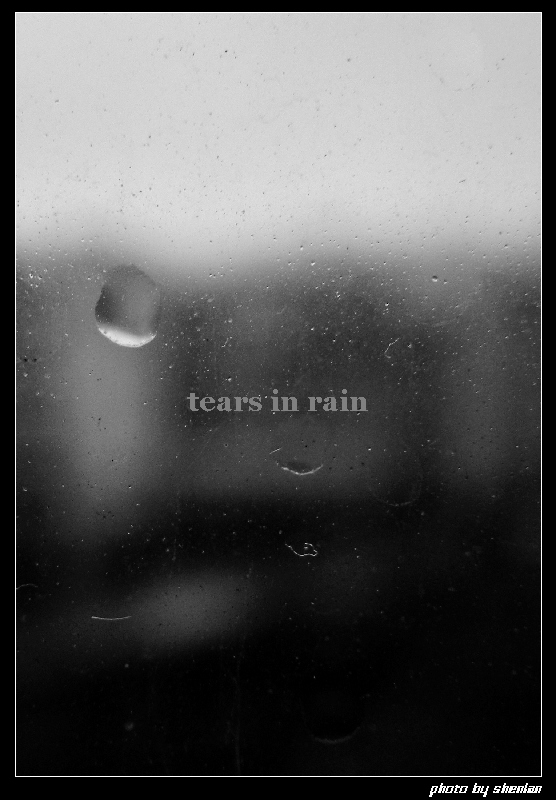 tears in rain 摄影 oceanblue