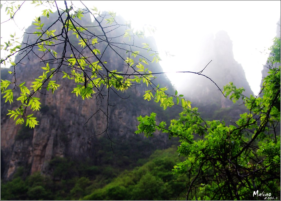 42.云台山·郁郁葱葱 摄影 马里奥MALIAO