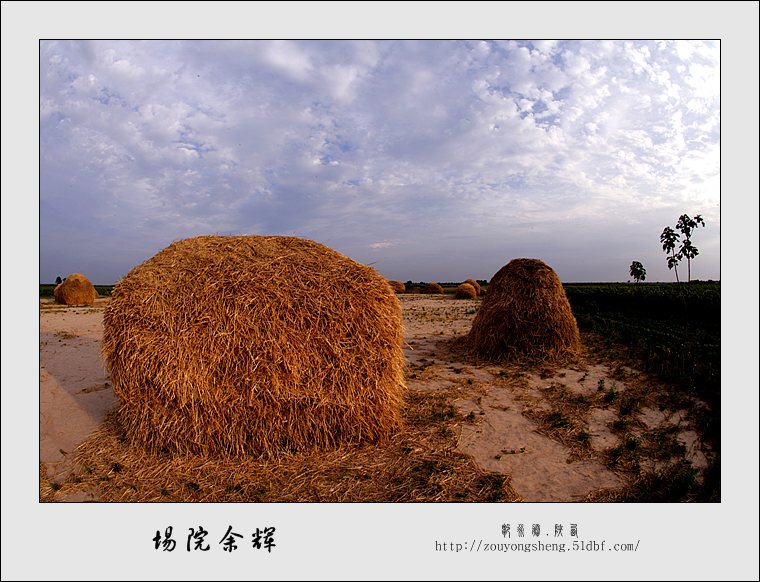 场院余晖 摄影 东北虎