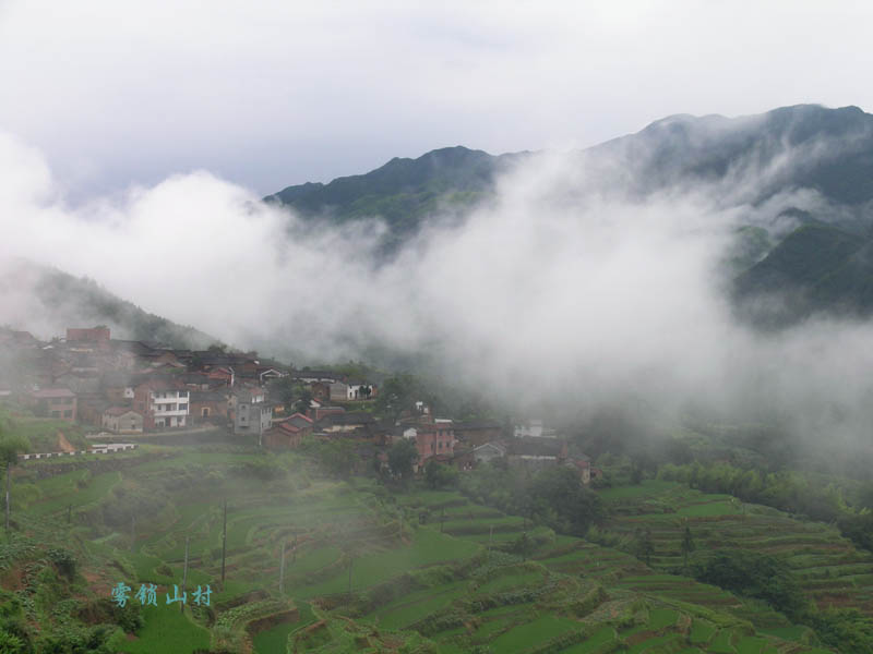 雾锁山村 摄影 南山小草