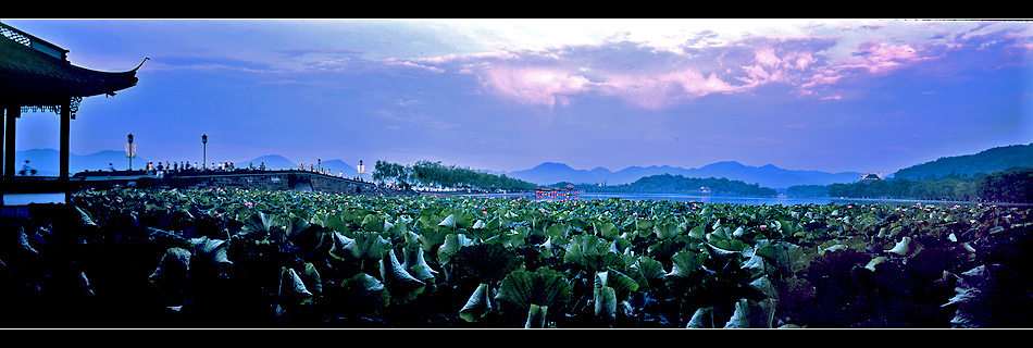 美哉西湖 摄影 pigeon