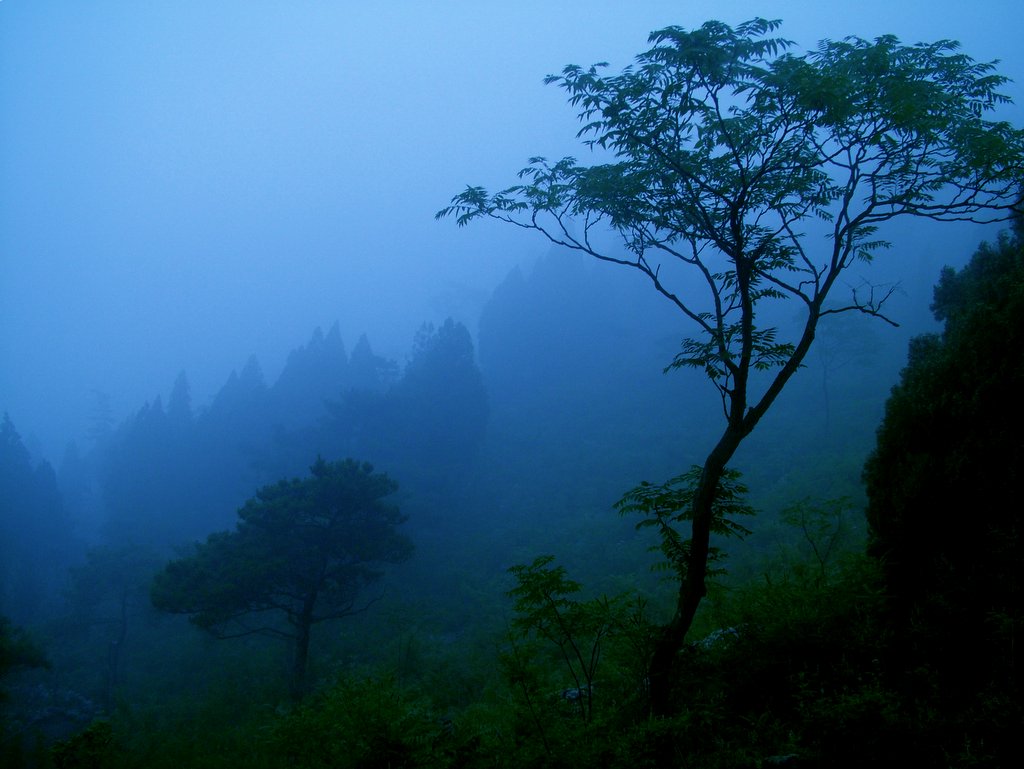 朦胧 摄影 冬雨夏雪