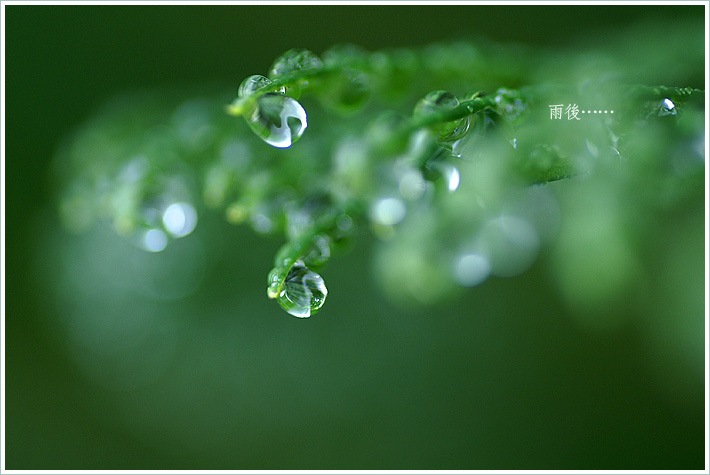 雨后…… 摄影 阳光集美