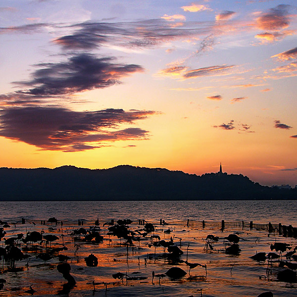 夕阳无限好 摄影 淡影