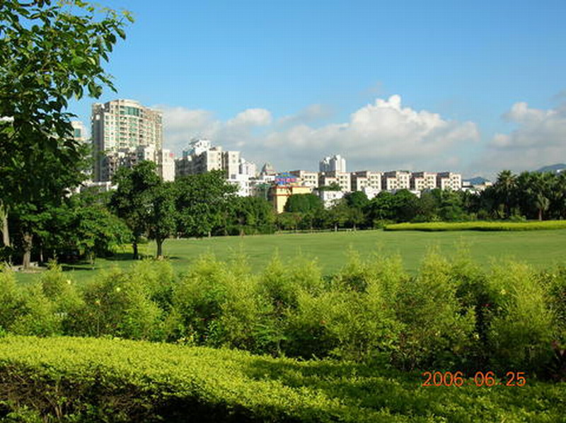 都市 摄影 手留余香