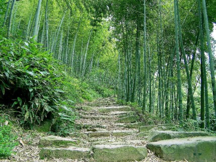 山路 摄影 夏雨18