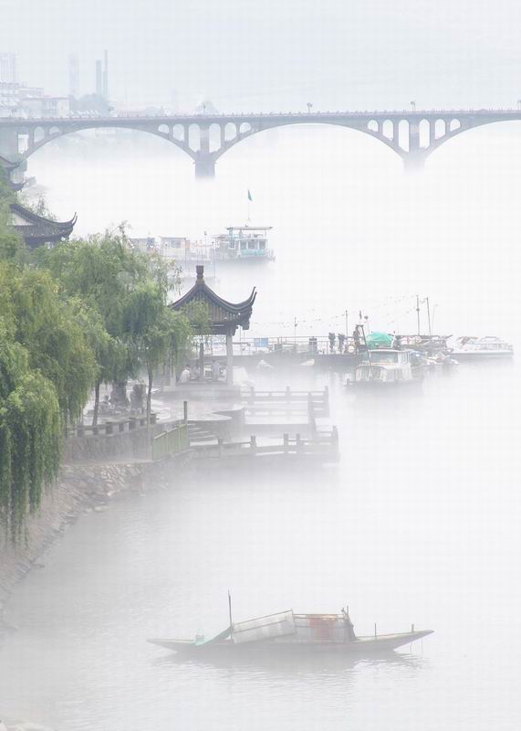 雾中乐园 摄影 心雨II