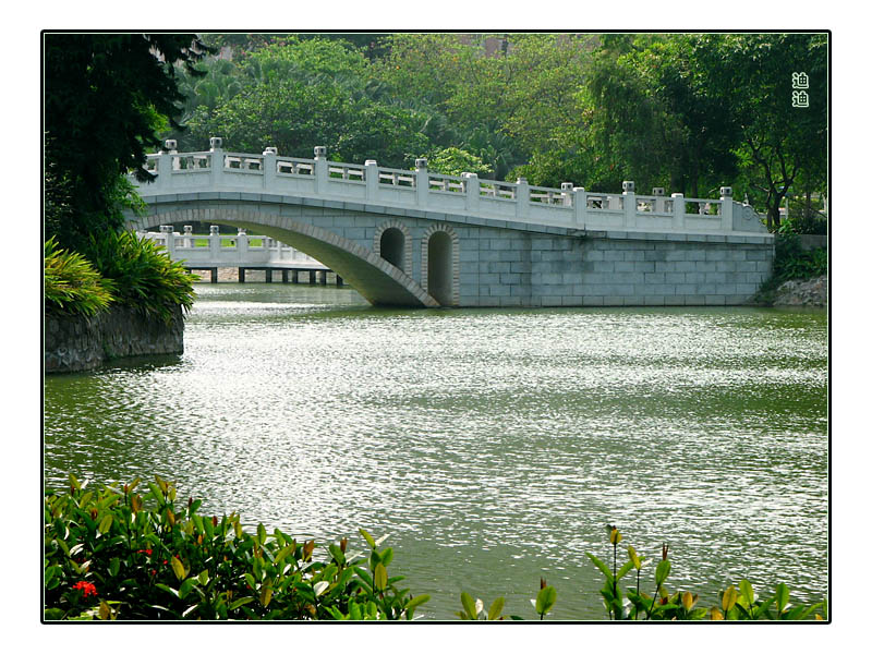 校园景 摄影 迪迪宝贝