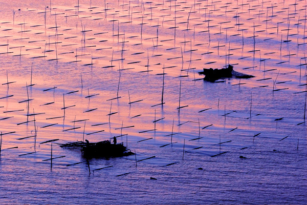 讨海 摄影 沈溪波