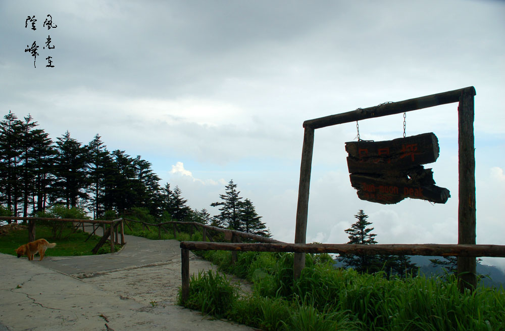 山雨欲来 摄影 风光在险峰