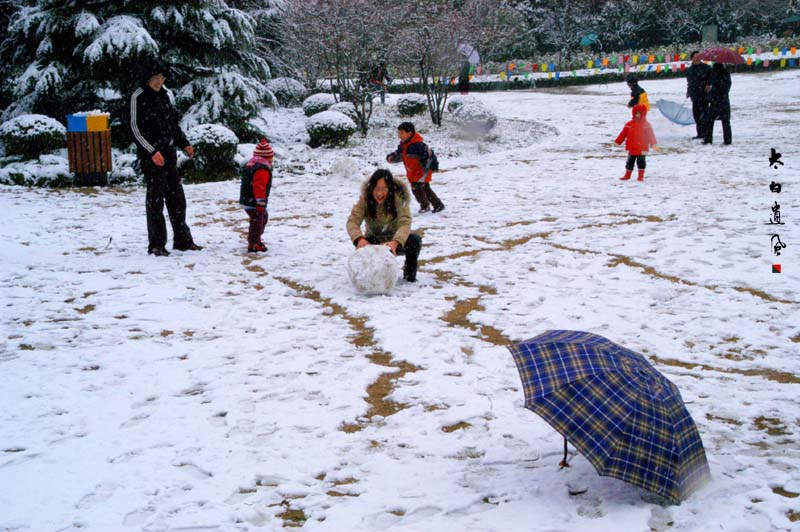 滚雪球 摄影 太白遗风