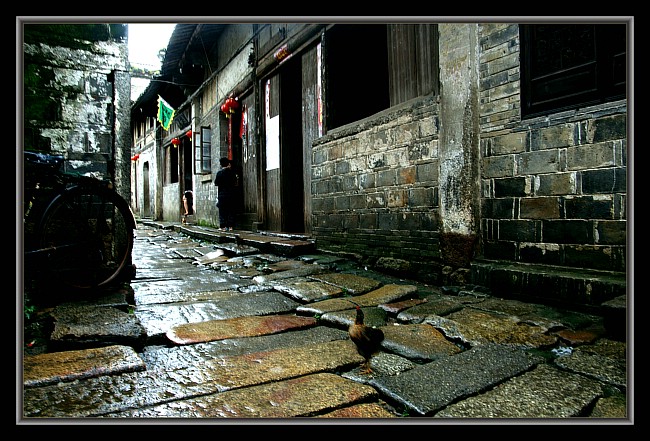 老屋影集---雨后的巷 摄影 沙漫海