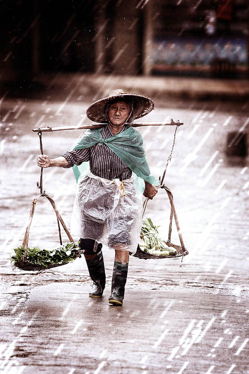 风雨中 摄影 林中