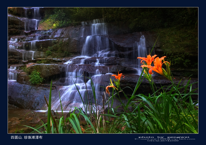 深山花更黄 摄影 老P